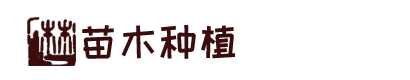 凯时国际信誉